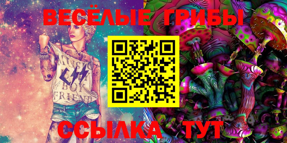 Малгобек  Галлюциногенные грибы Cubensis  Вход с VPN 